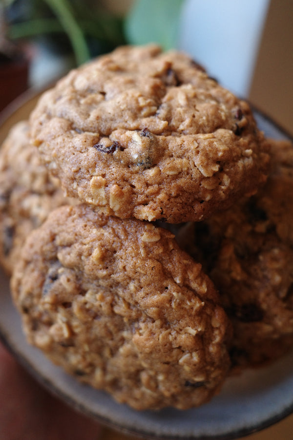 6x Oatmeal Raisin Cookies