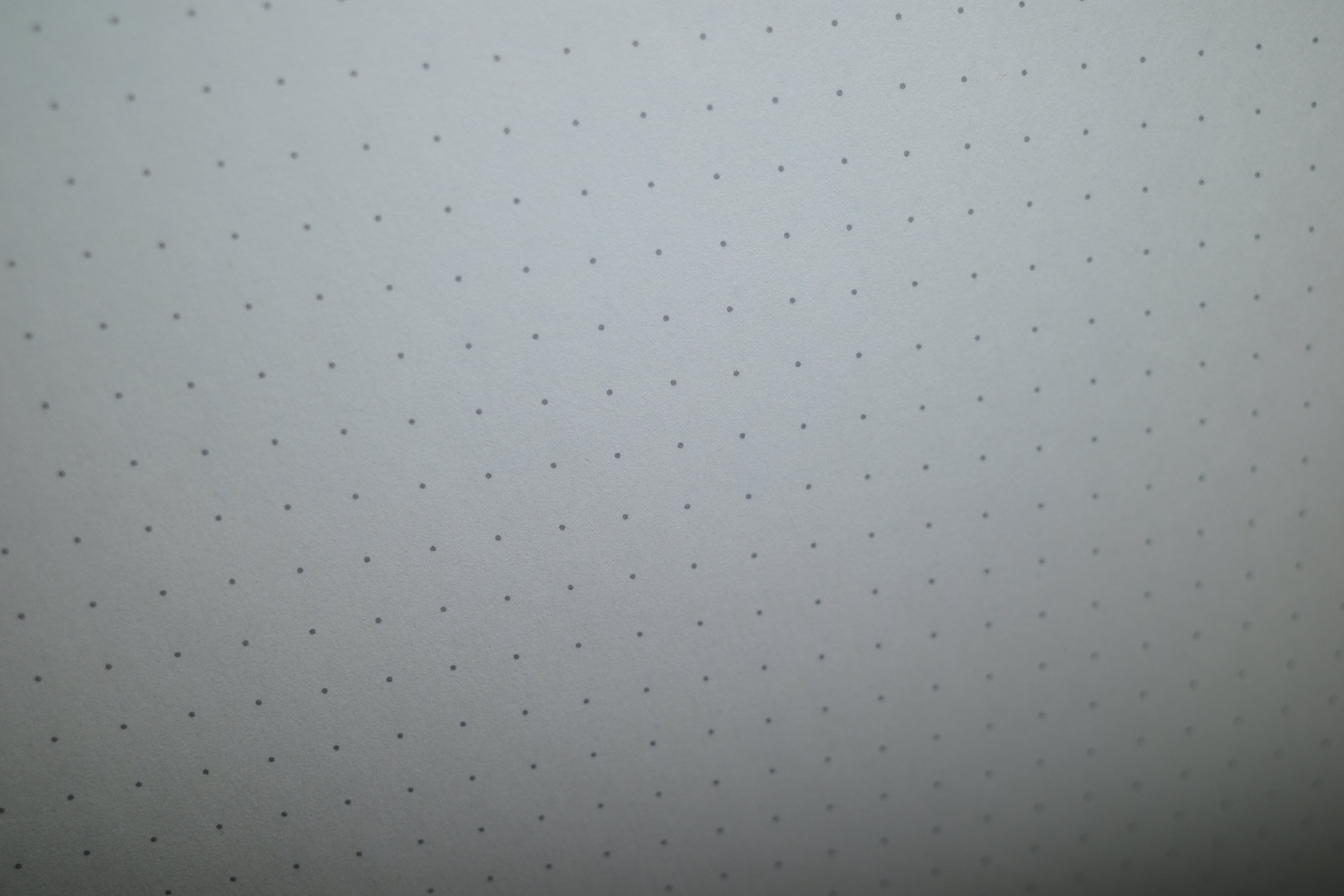 FKS - Dotted Notebook